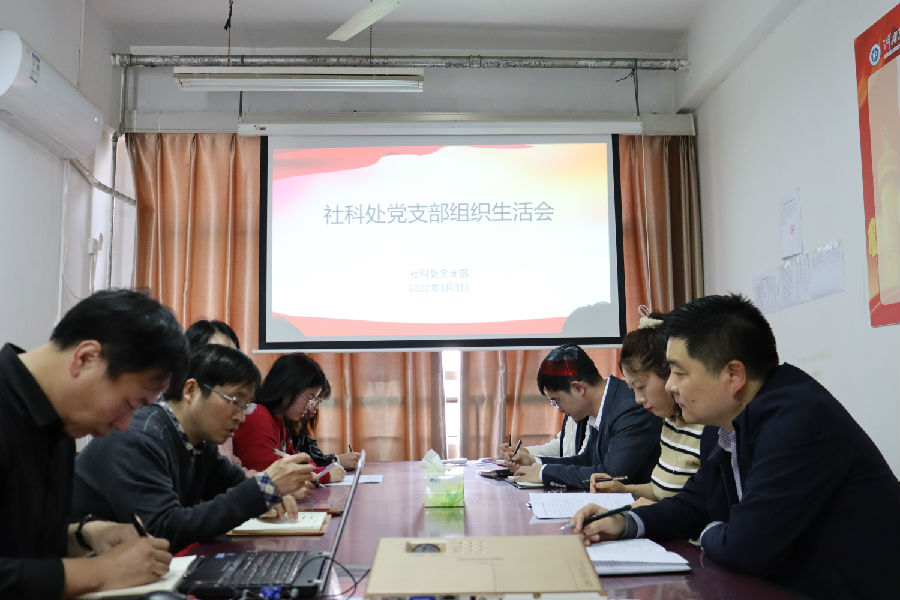 3.3组织生活会.JPG